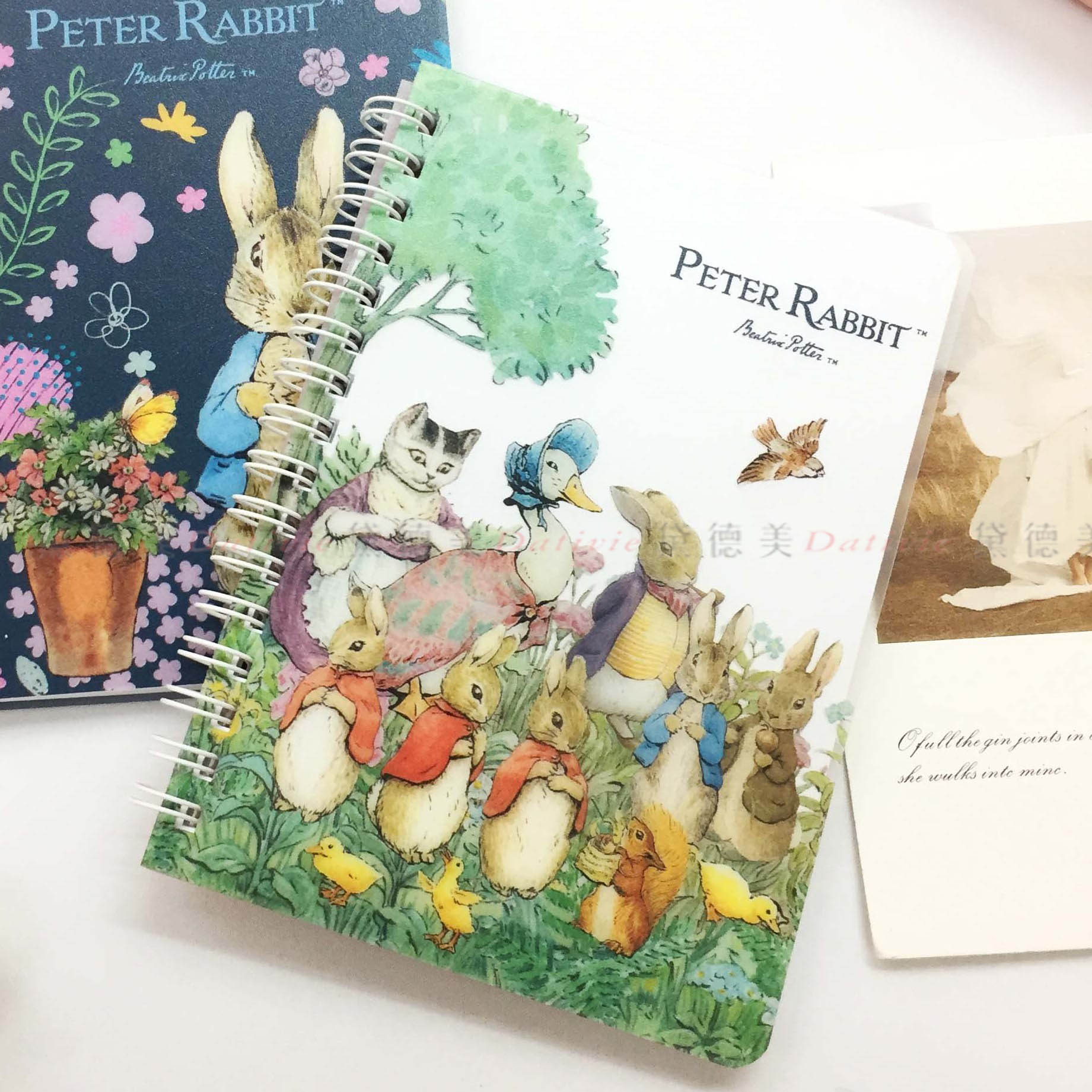 50K 線圈筆記本-彼得兔 Peter Rabbit 正版授權